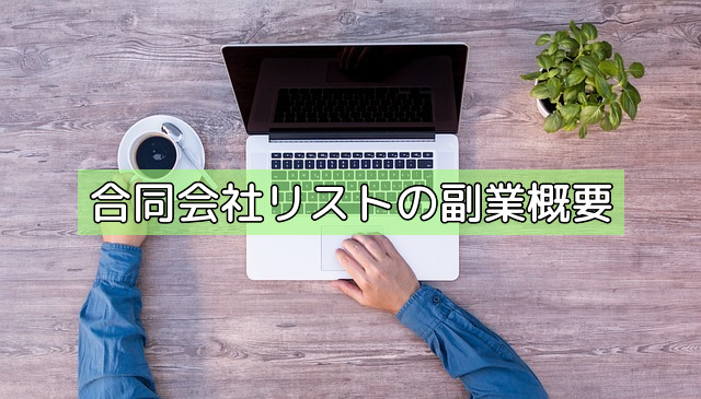 合同会社リストの副業概要の画像